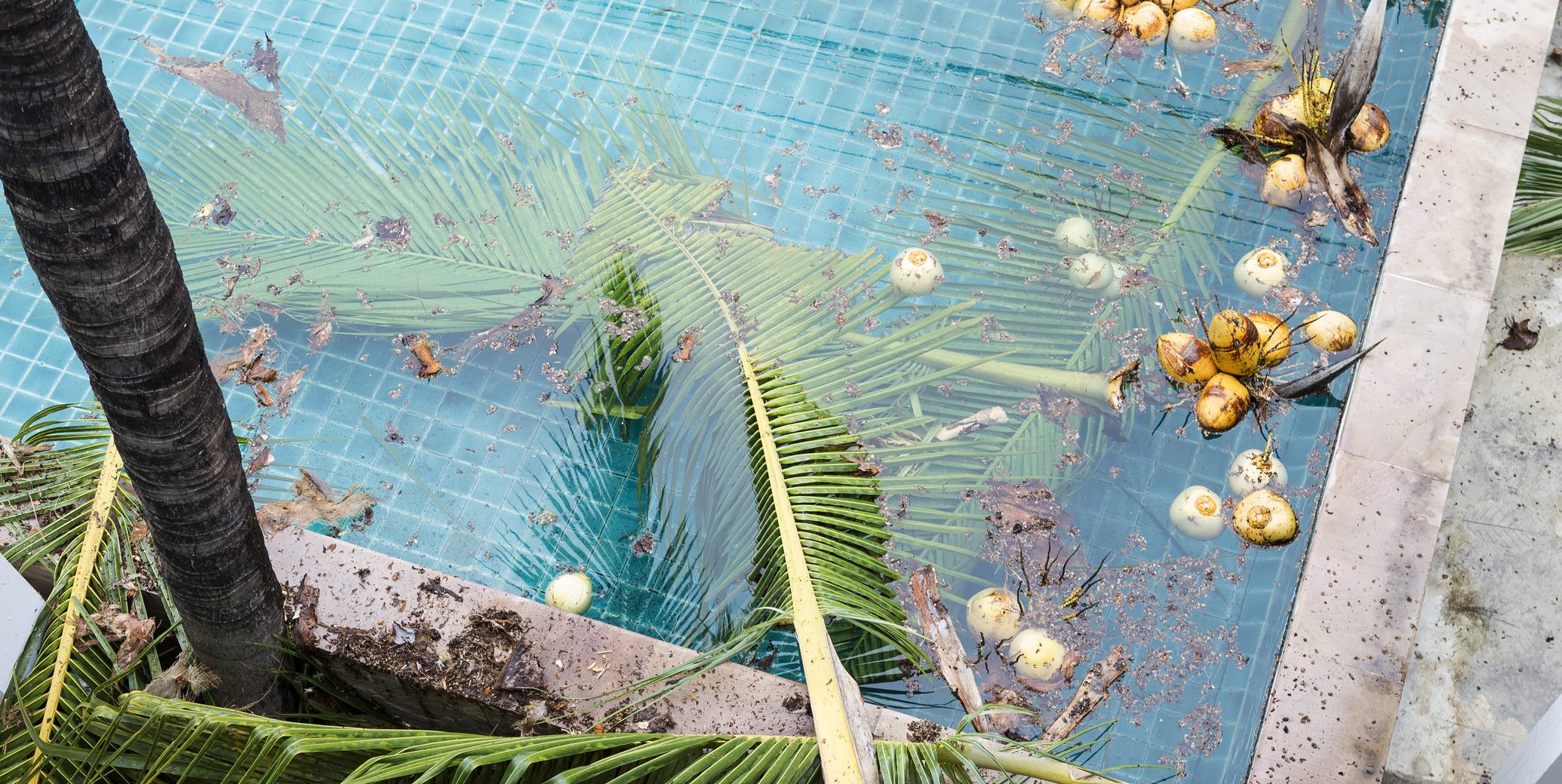 How to Clean Your Pool After a Hurricane